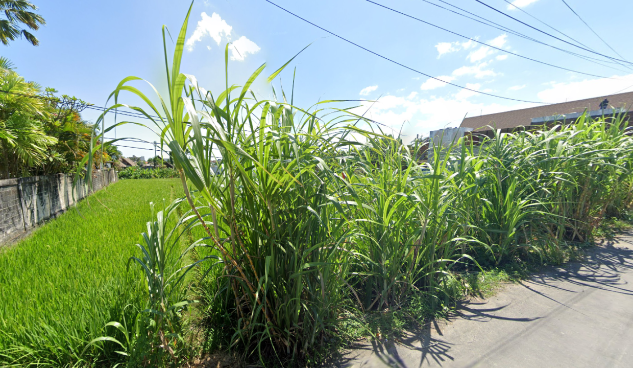 canggu bali 4