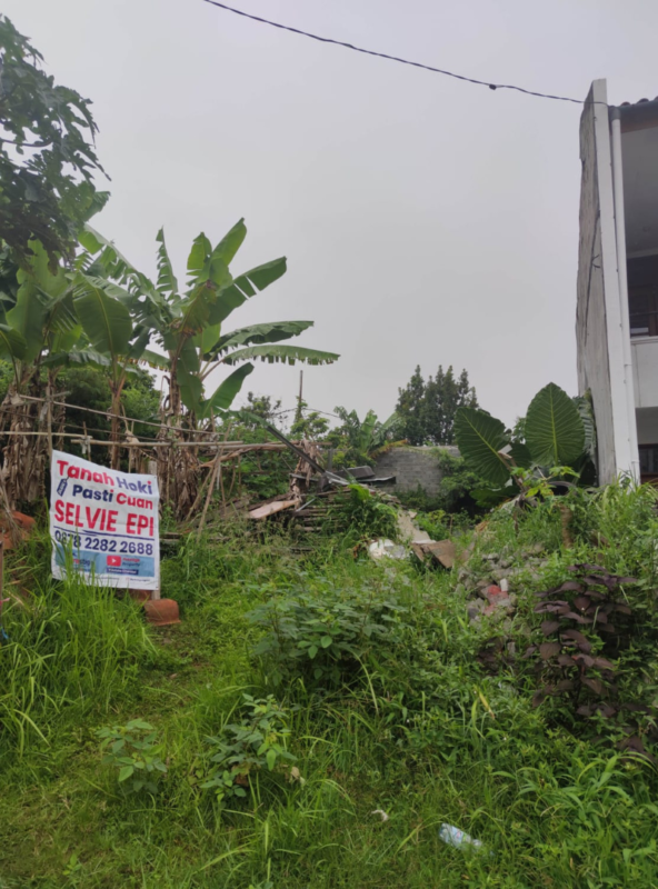 Tanah Hokie di sayap Pasteur Gunung Batu