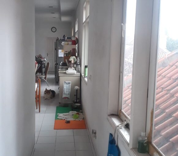 DIJUAL RUMAH SAYAP RIAU