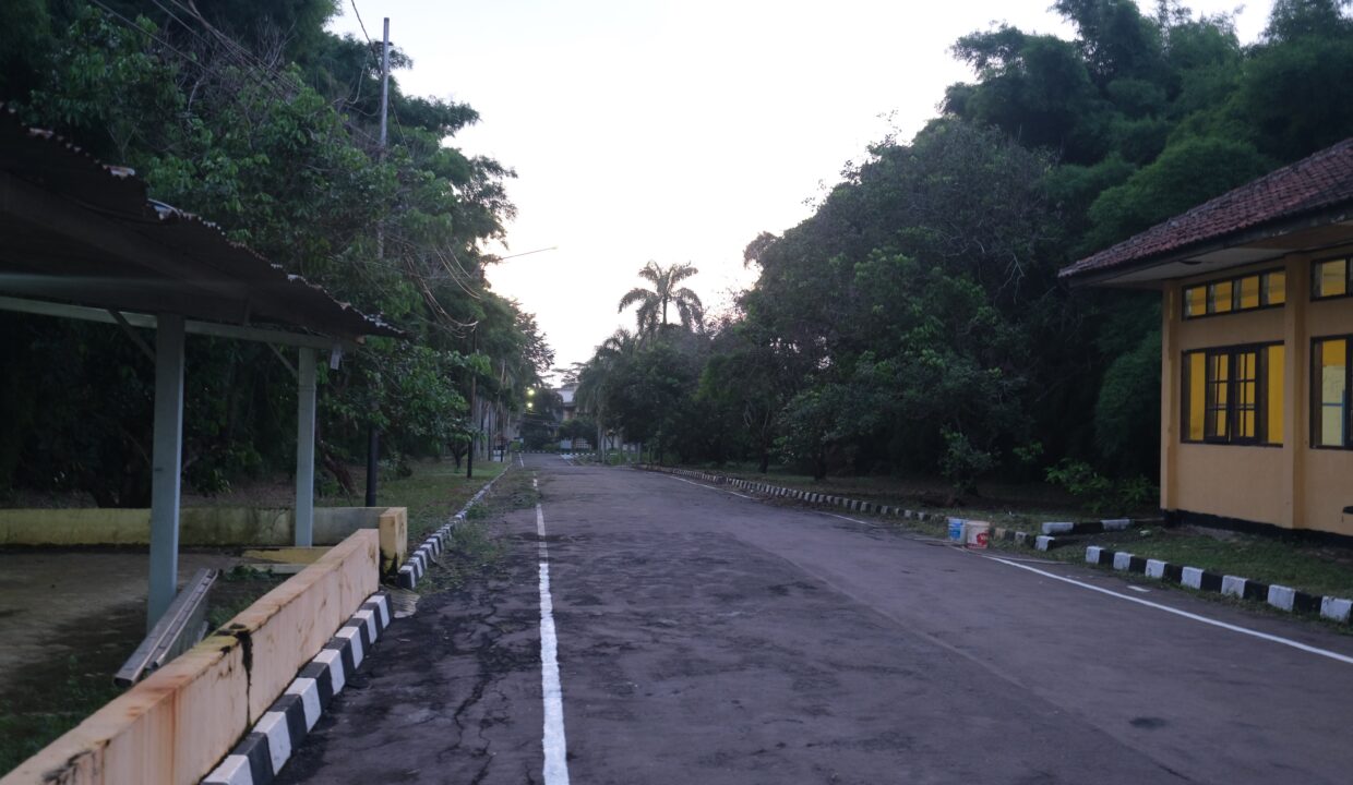 jalan dari gerbang ke kantor