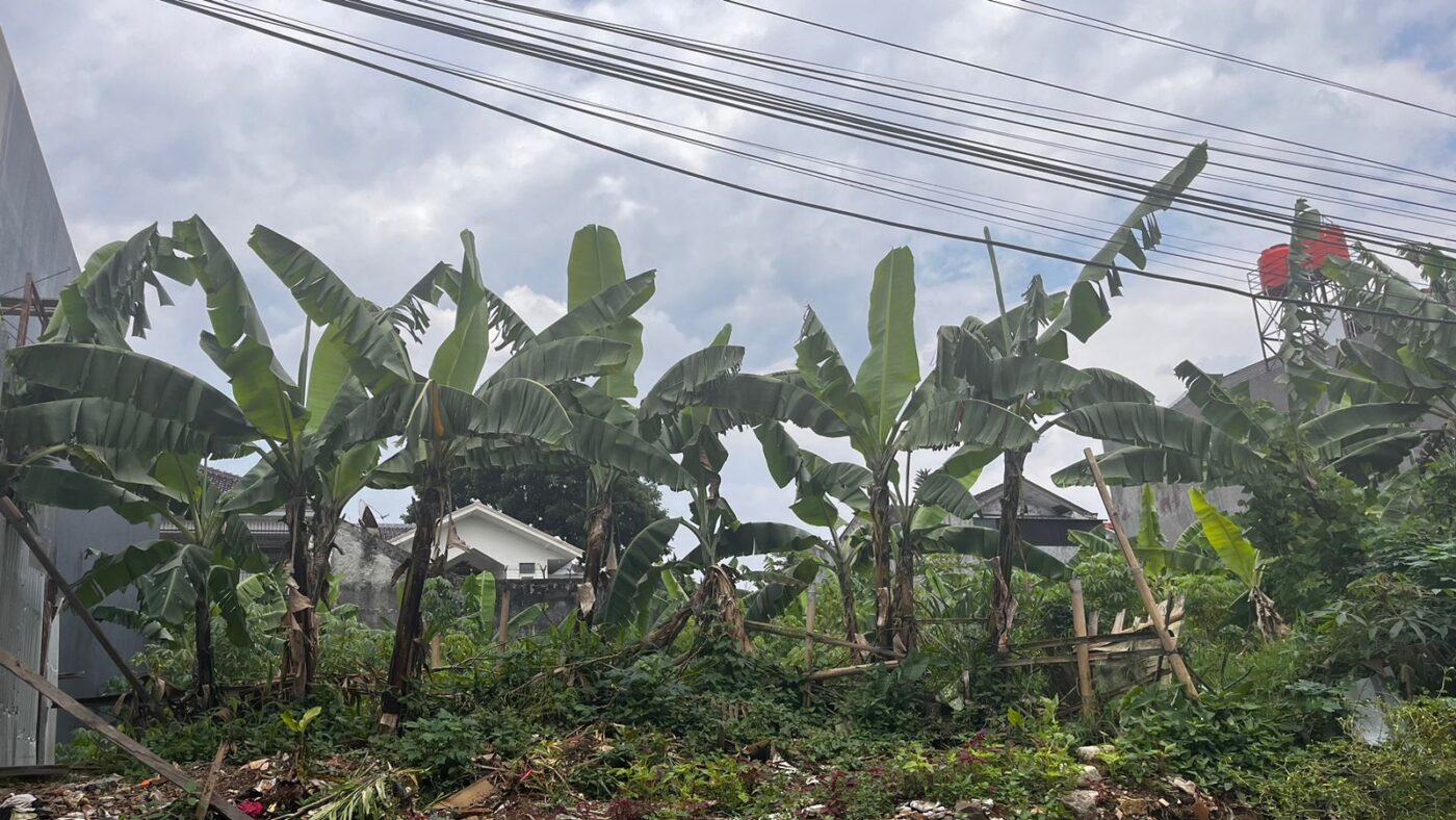 TANAH BABAKAN JERUK BANDUNG