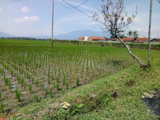 Tanah Depan perumahan katapang Gland 2 Kopo Katapang Bandung