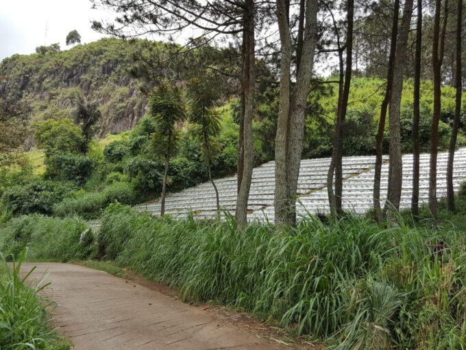 Tanah sebelah Noah Gravity Park Gunung Batu Lembang