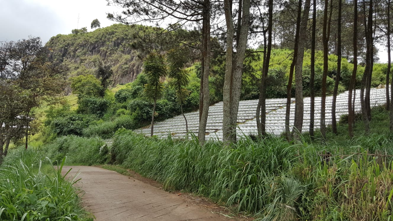 Tanah sebelah Noah Gravity Park Gunung Batu Lembang