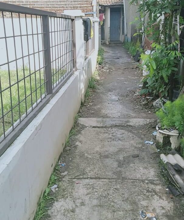 WhatsApp Image 2025-04-30 at 19.58.03