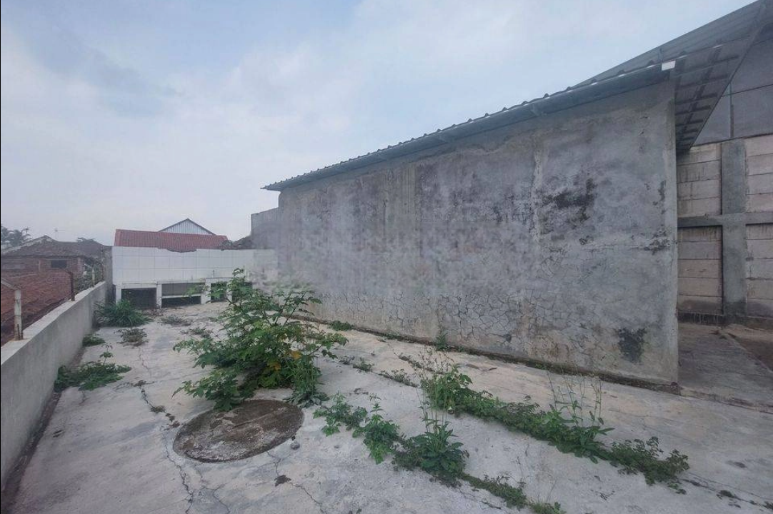 image-Photoroom (10)