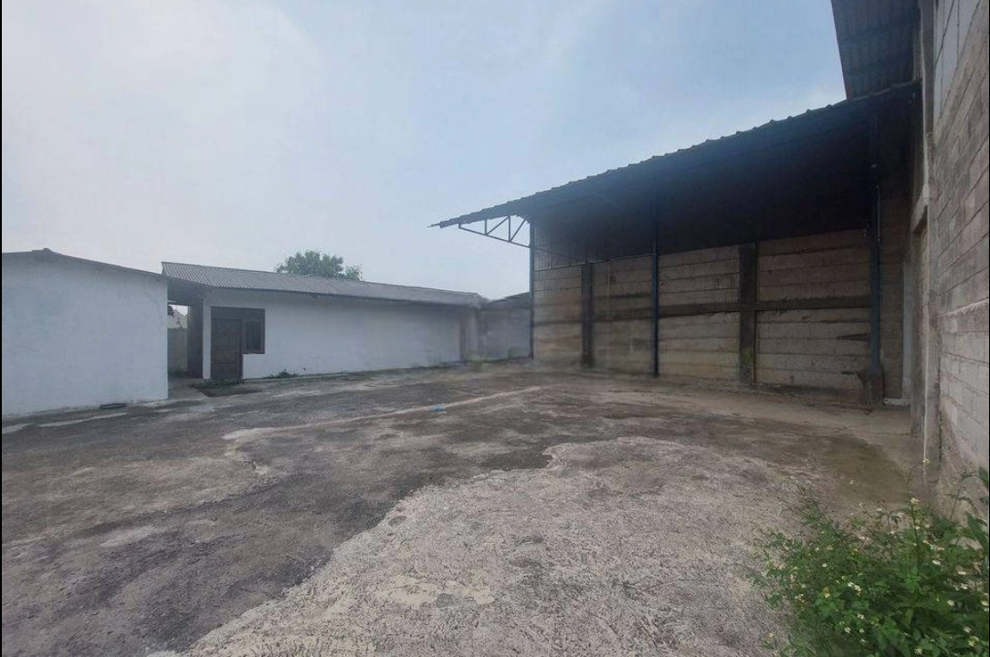 image-Photoroom (6)