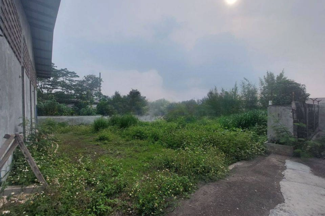 image-Photoroom (9)