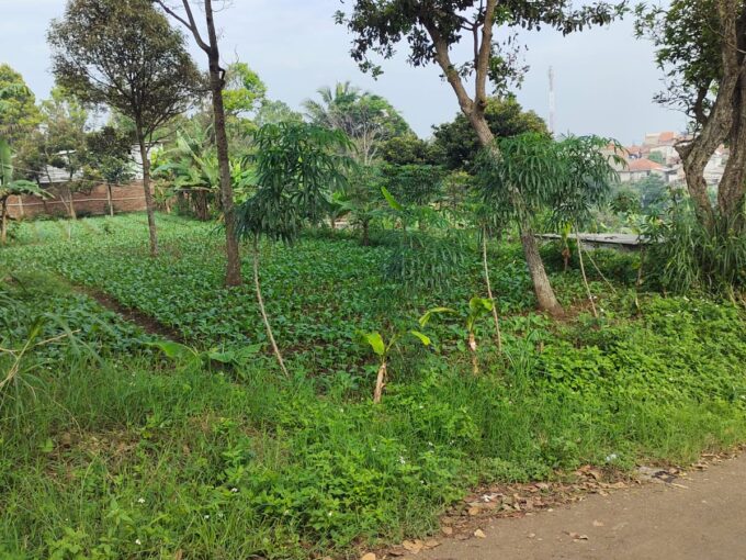 TERMURAH! Tanah Siap Bangun di Pasaasih Bandung Barat