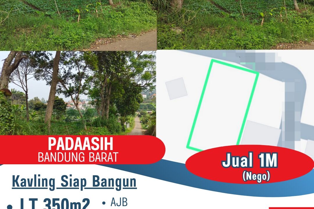 WhatsApp Image 2025-06-10 at 14.44.29