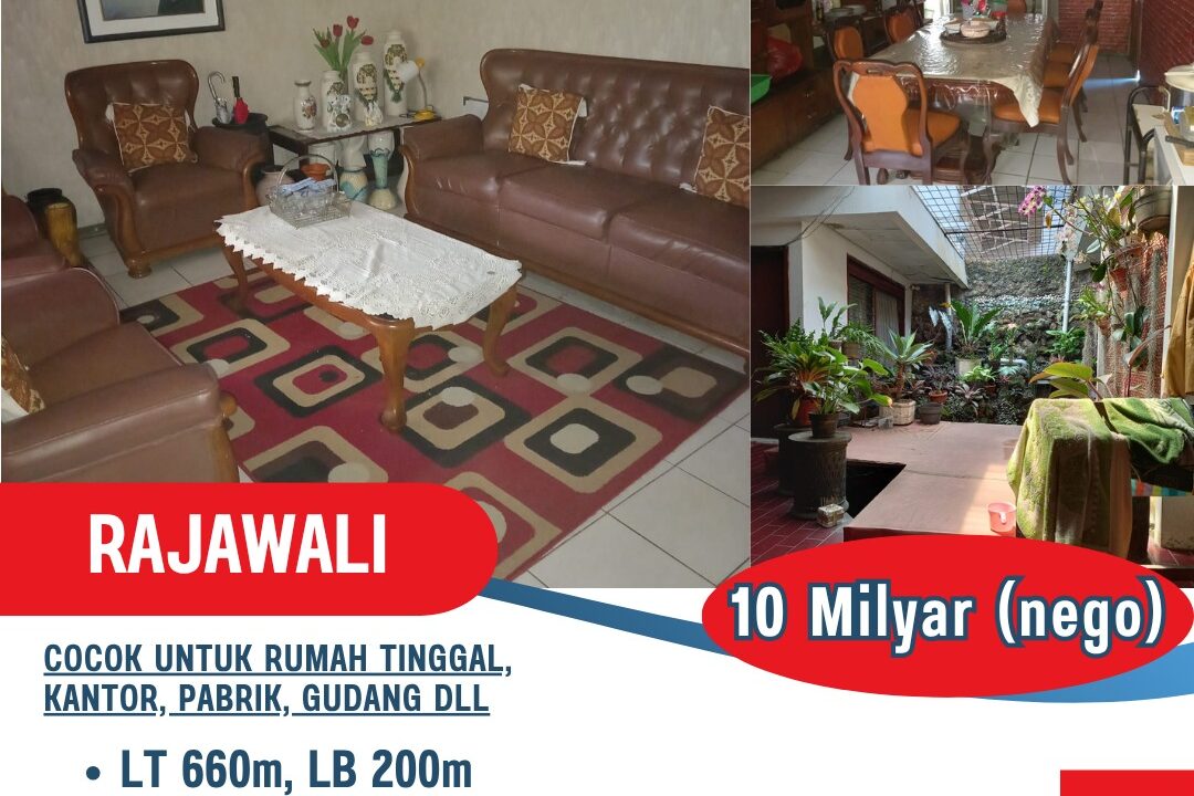 WhatsApp Image 2025-06-11 at 15.52.10