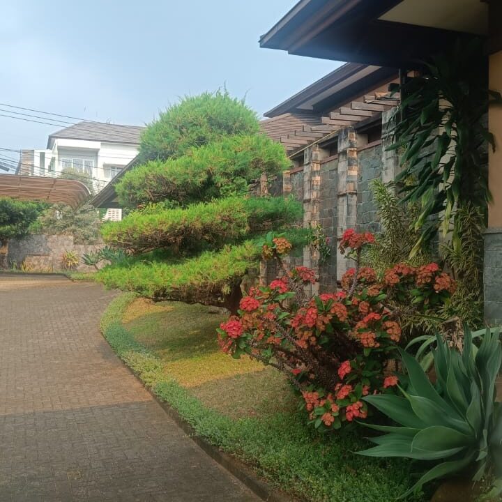 WhatsApp Image 2025-08-14 at 17.36.58