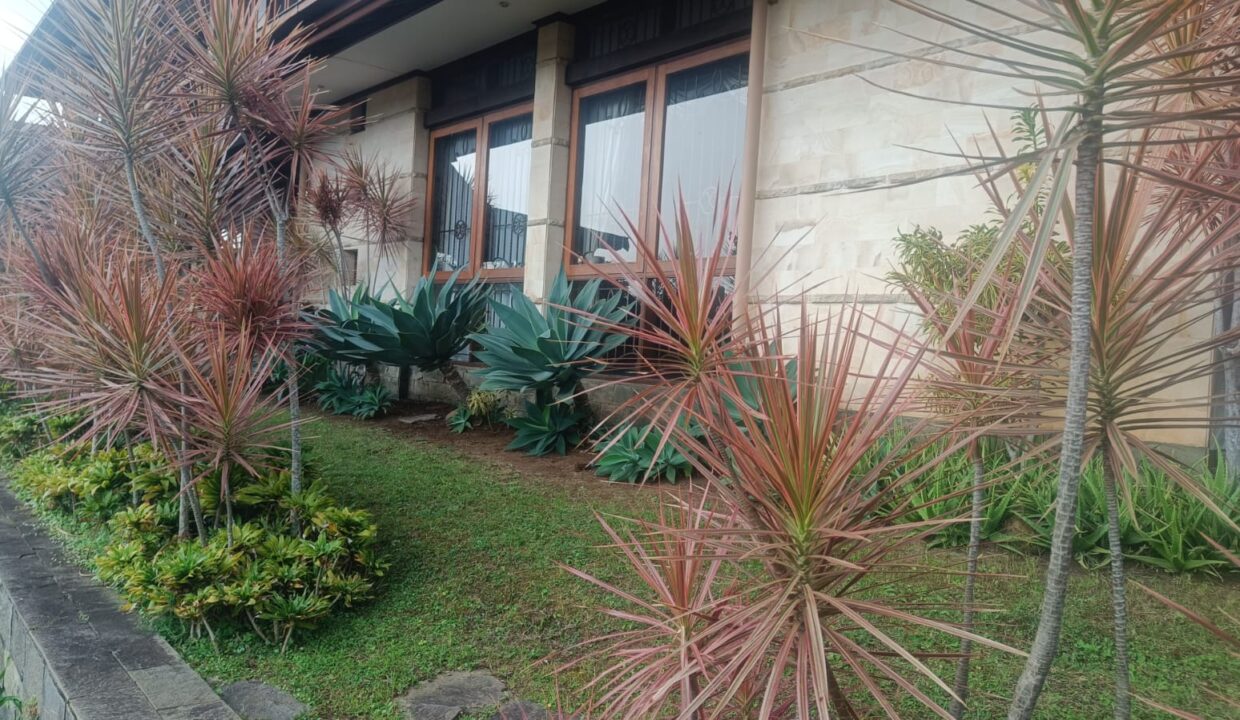 WhatsApp Image 2025-08-14 at 17.36.59