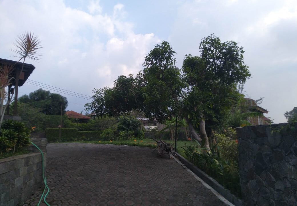 WhatsApp Image 2025-08-14 at 17.37.00 (1)