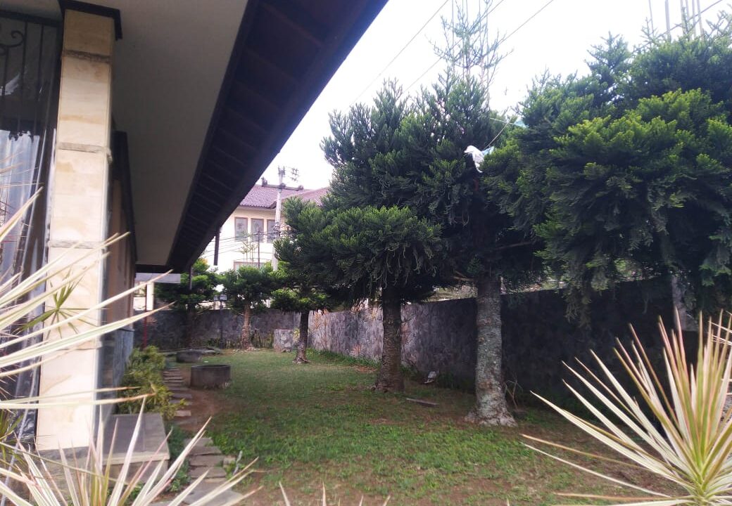 WhatsApp Image 2025-08-14 at 17.37.01 (3)