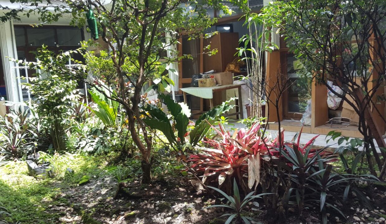 WhatsApp Image 2016-10-05 at 16.13.14 (1)