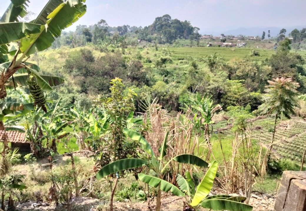 WhatsApp Image 2025-11-22 at 17.06.31