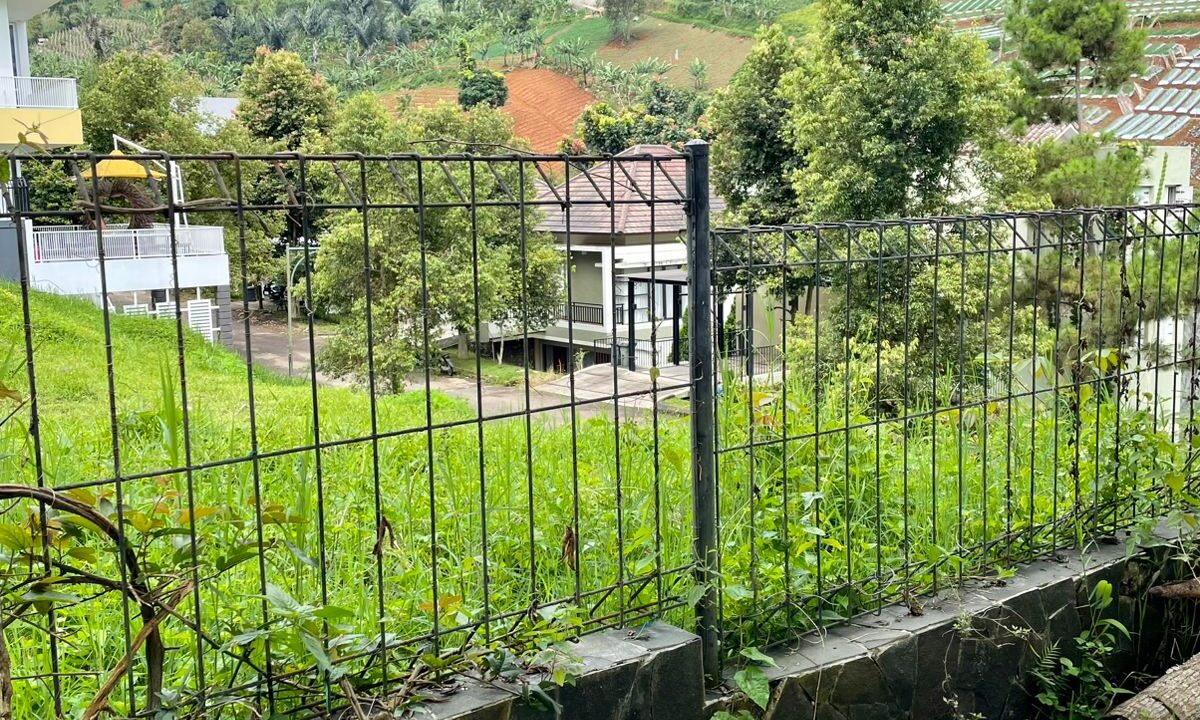 WhatsApp Image 2026-01-26 at 12.56.37 (2)