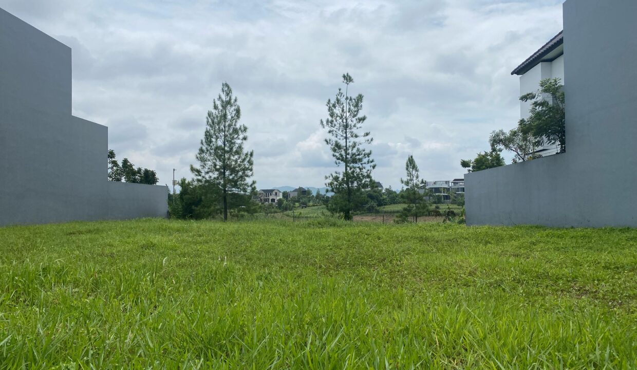 WhatsApp Image 2025-02-22 at 11.41.11