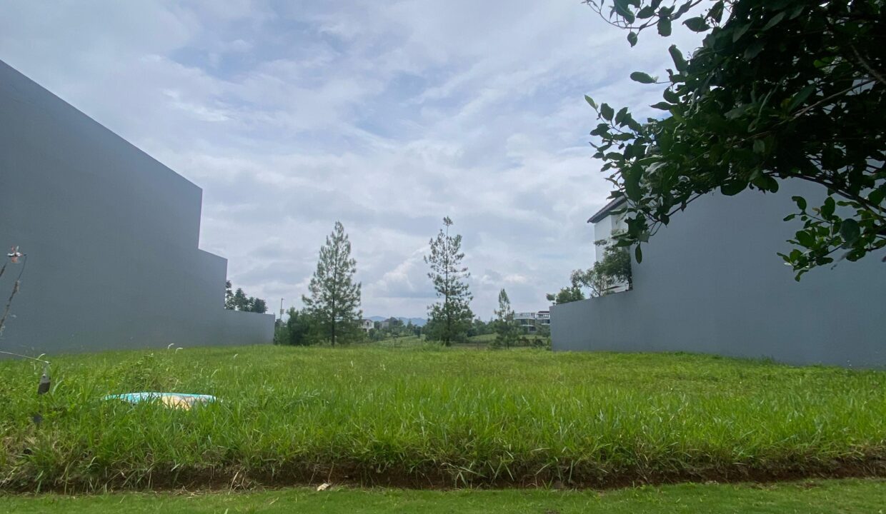 WhatsApp Image 2025-02-22 at 11.41.12 (1)