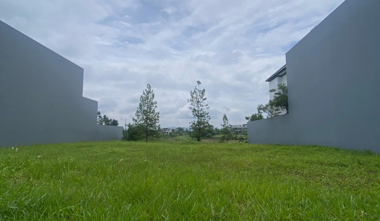 WhatsApp Image 2025-02-22 at 11.41.12