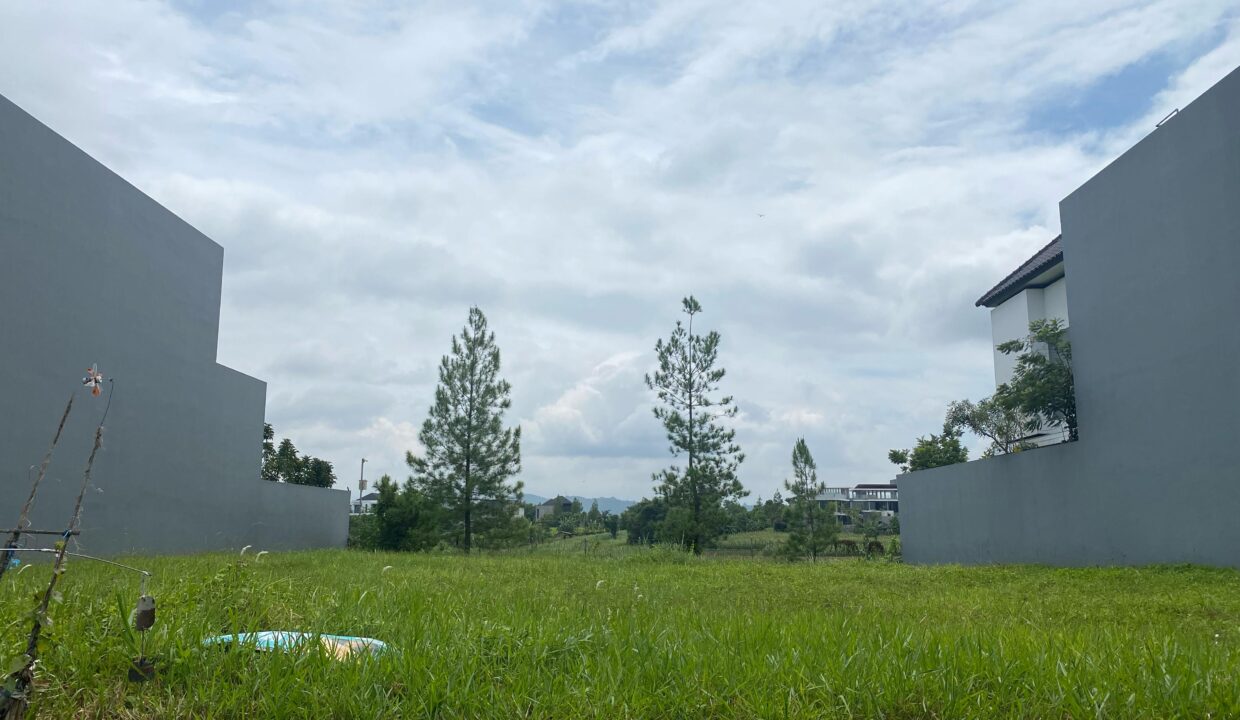 WhatsApp Image 2025-02-22 at 11.41.13 (1)