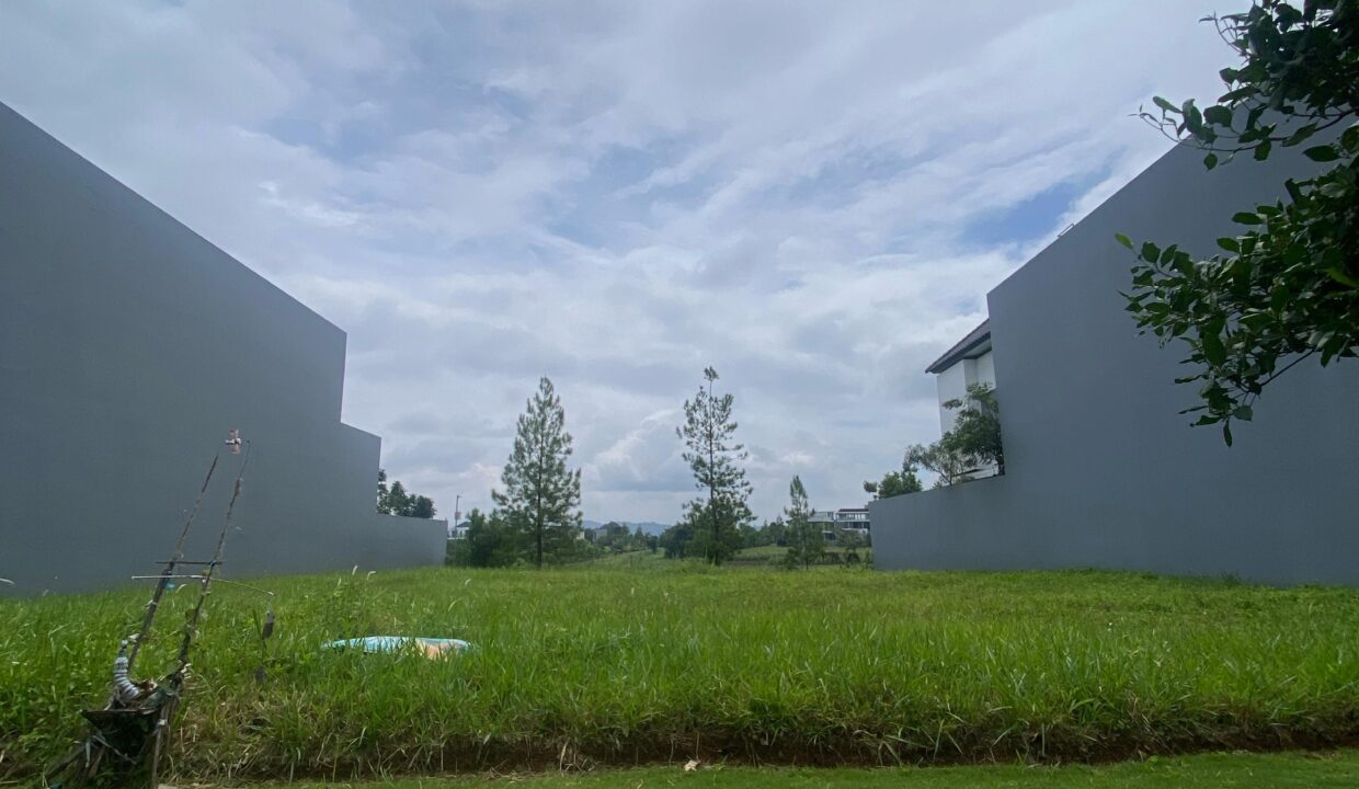 WhatsApp Image 2025-02-22 at 11.41.13