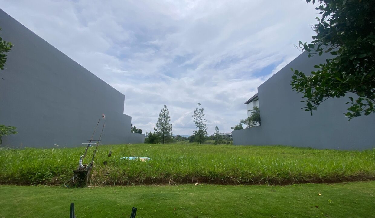 WhatsApp Image 2025-02-22 at 11.41.13 (2)