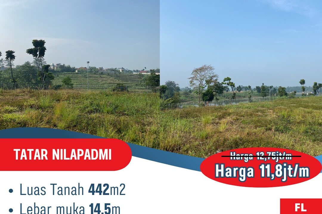 WhatsApp Image 2026-03-16 at 15.23.37