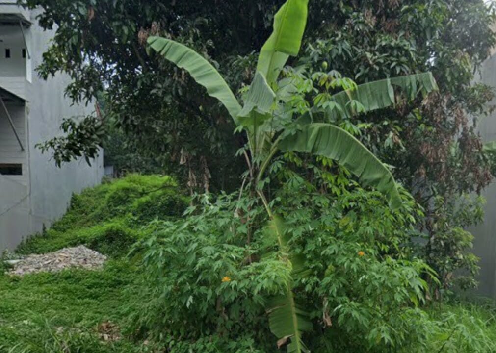 WhatsApp Image 2026-06-09 at 13.43.19 (1)