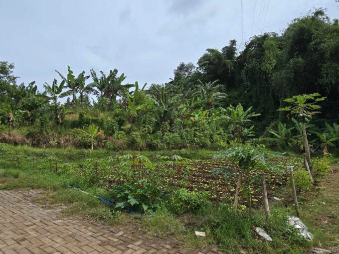 Rare Listing! Tanah Luas di Kawasan Sejuk Sersan Bajuri Bandung