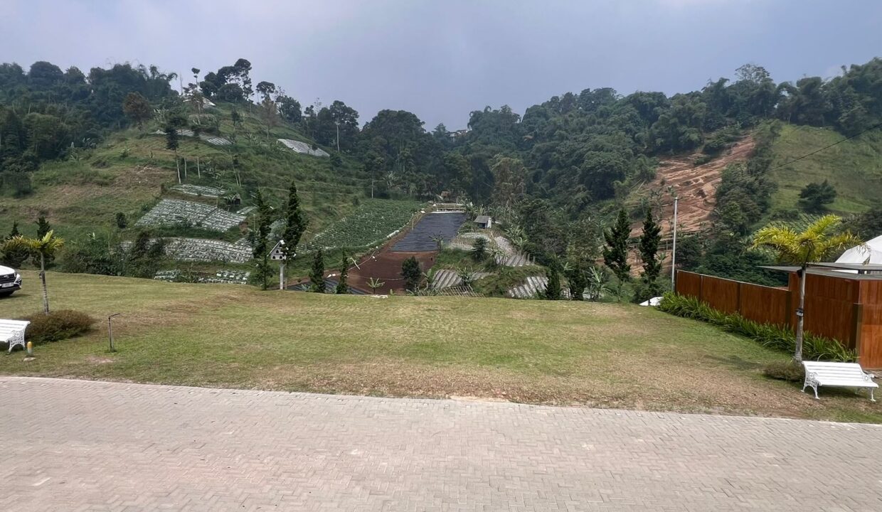 WhatsApp Image 2026-06-27 at 16.39.11