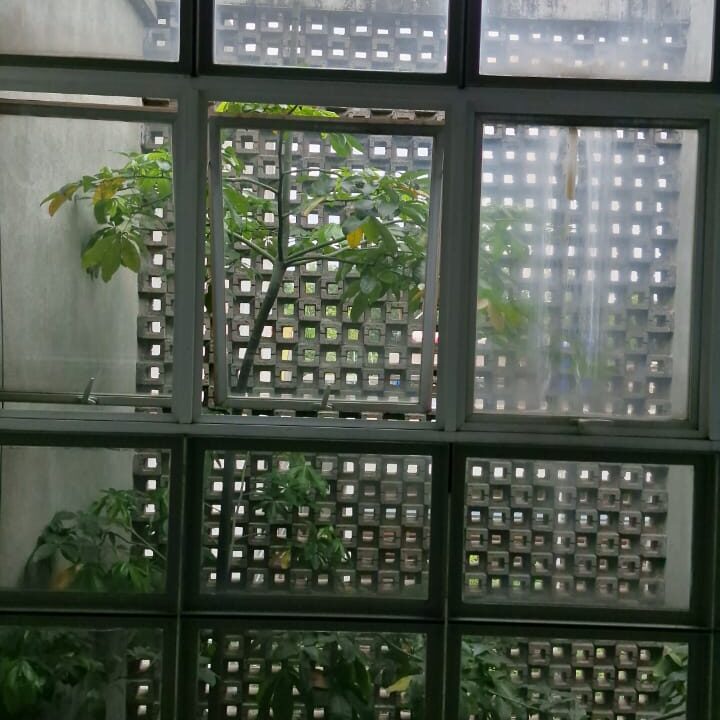 WhatsApp Image 2026-07-14 at 10.44.23 (2)