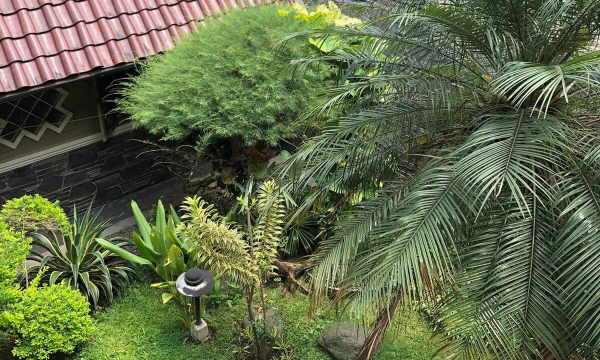 WhatsApp Image 2026-07-15 at 13.27.31